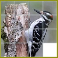 Puzzel V2