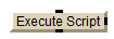 Execute Script